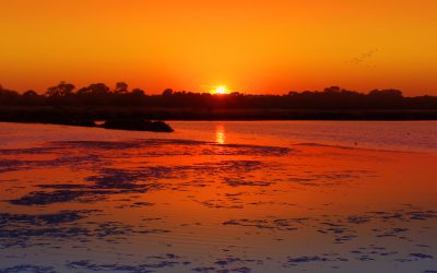 Trails - Ria-Formosa-Faro - Walking - Hiking - Trekking