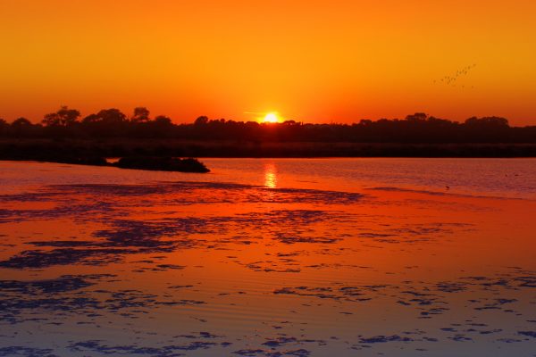 Trails - Ria-Formosa-Faro - Walking - Hiking - Trekking