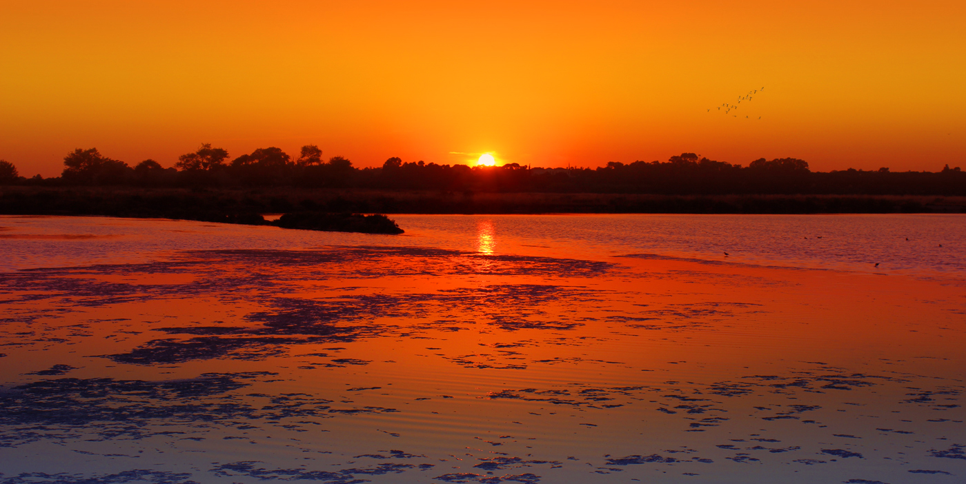 Trails - Ria-Formosa-Faro - Walking - Hiking - Trekking