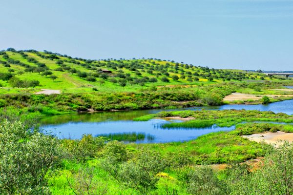 castro-marim-nature-reserve-algarve