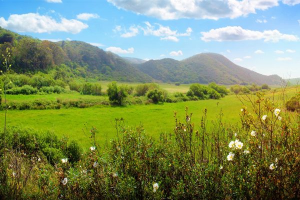 Bordeira Walking Trail - Vicentine Coast Natural Park - Aljezur - Algarve