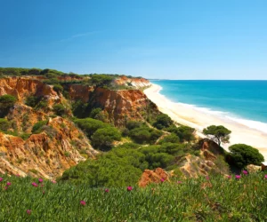 Falesia Beach - Albufeira - Algarve