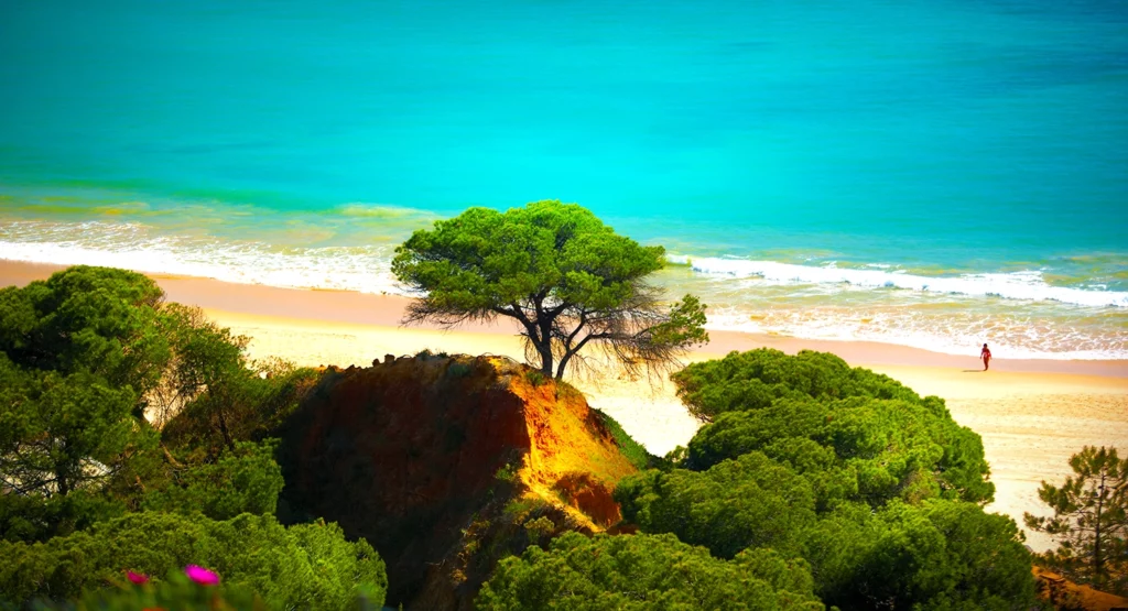 Praia da Falesia Beach Trail - Algarve - Portugal