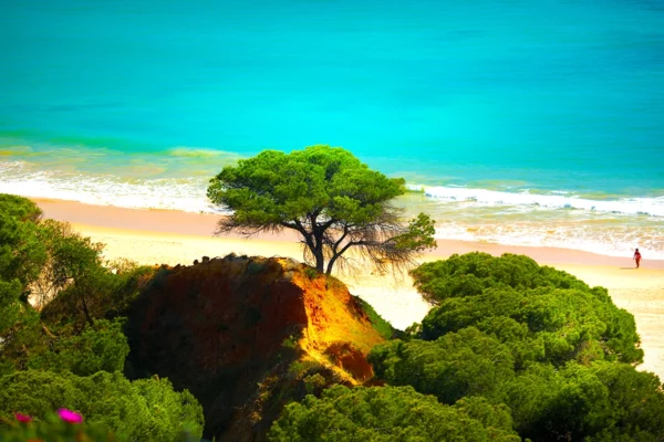 Praia da Falesia Beach Trail - Algarve - Portugal