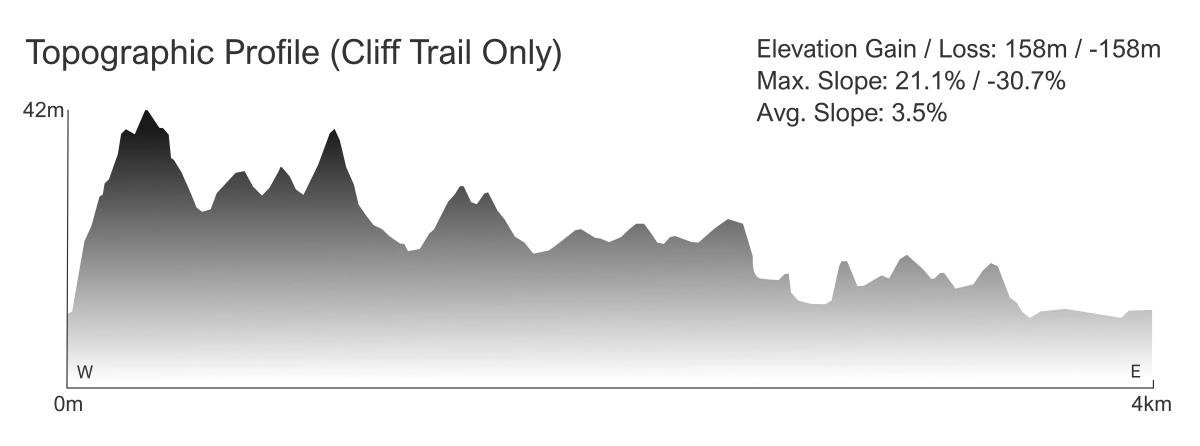 Topographic Profile - Falesia Beach Trail - Algarve copiar