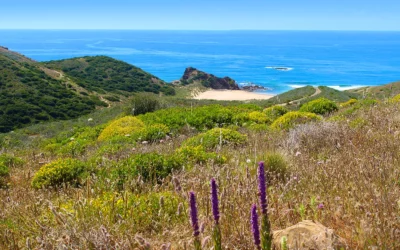 Amado Trail - Hiking Trails Algarve