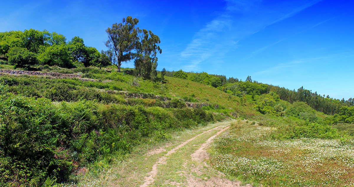 East Segment of the Fóia Trail - Monchique - Hiking Algarve