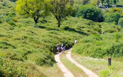 Fóia Trail - Monchique - Algarve