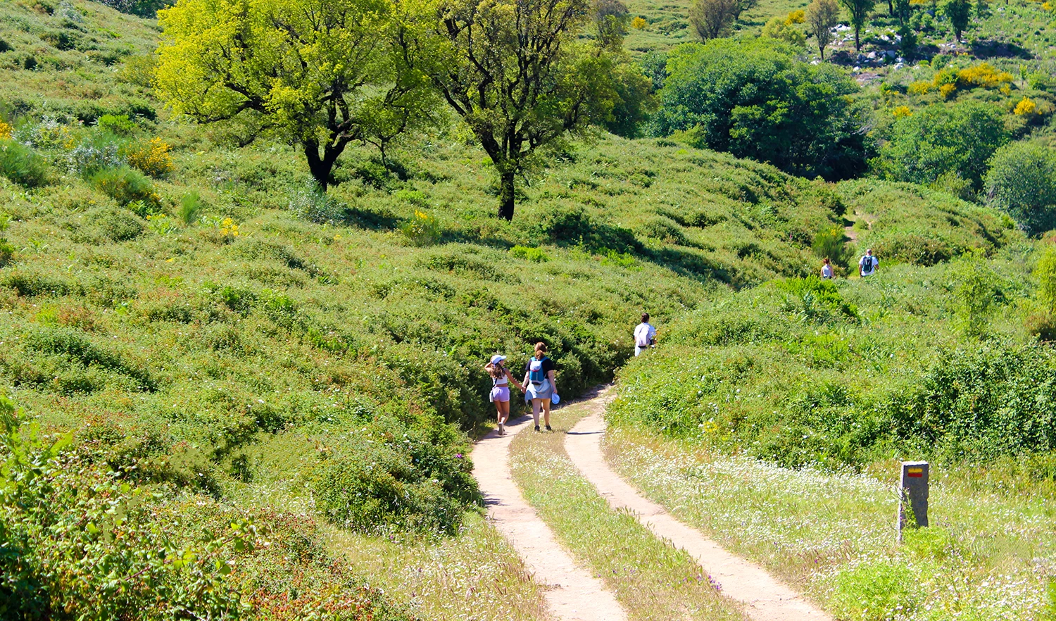 Fóia Trail - Monchique - Algarve
