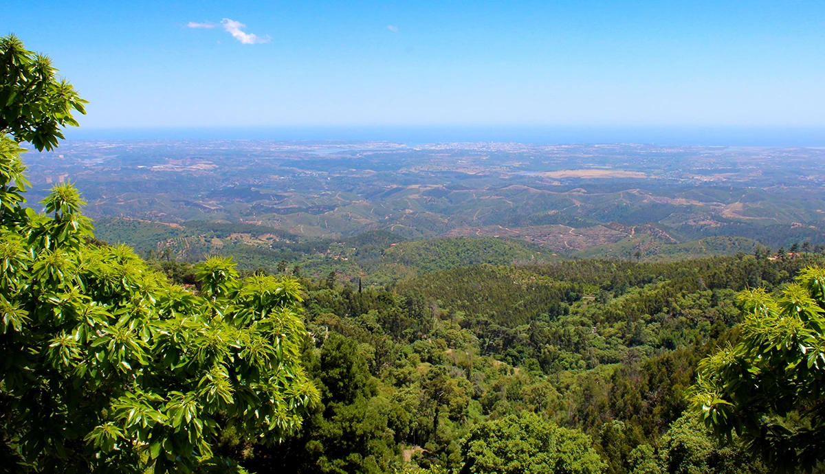 Fóia Walking Trail - View From the Trail - Monchique