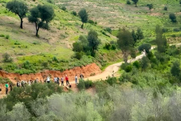 Parra Trail An Interview