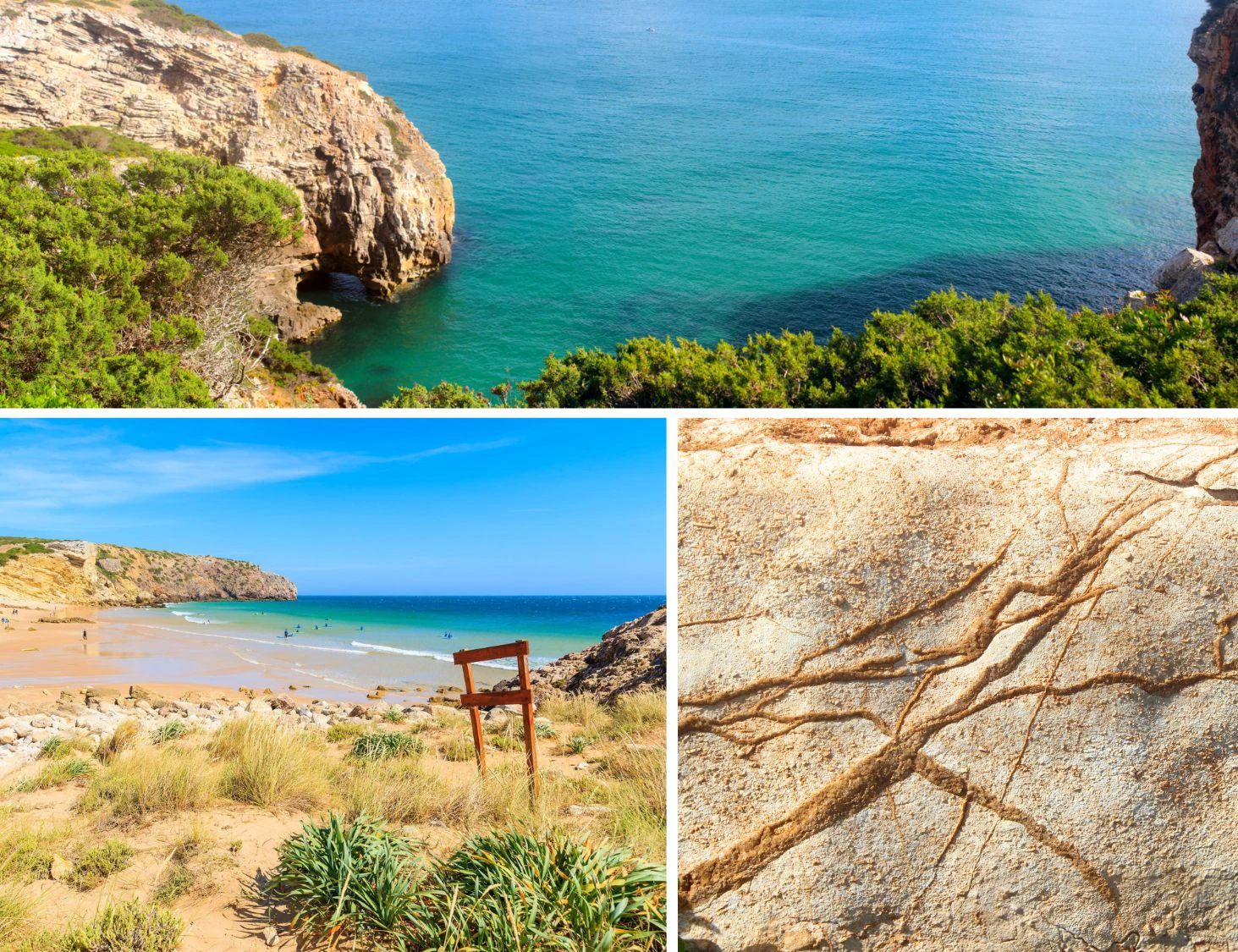 Various Aspects Across the Zavial Trek Including Cliff Views and a Fossilized Plant