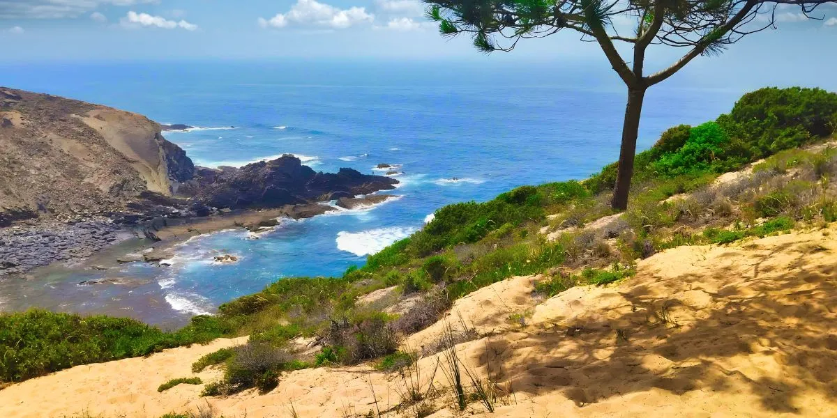 Clifftop-Sands-Paleo-Dunes-on-the-Cliffs-near-Tiros-Bay-in-the-Costa-Vicentina